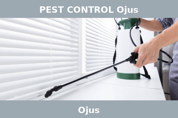 PEST CONTROL Ojus